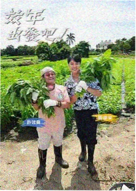 城市寻味记 人文美食综艺在线观看